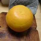 オレンジの皮をきれいにむく斬新な方法をネットで見たので、グレープフルーツでやってみた！の記事より