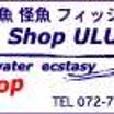 リップルフィッシャー BIGTUNA 76/83 JAPAN Special 入荷。