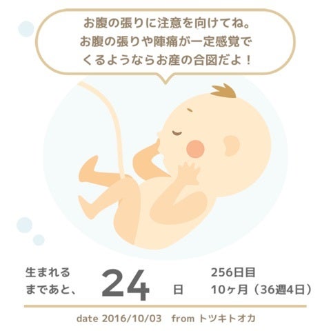 36w4d お腹シクシクの記事画像