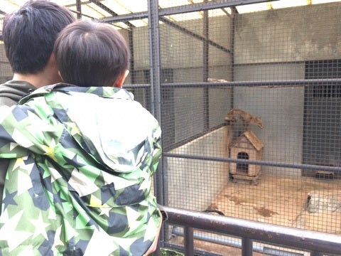 【家族Day→→→→→】の記事画像
