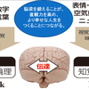 5つの脳の考え方　右脳と左脳編の画像