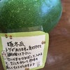 姫とうがんの画像