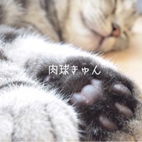ブログ投稿画像
