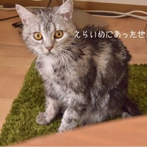 ブログ投稿画像