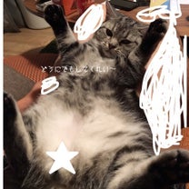 ブログ投稿画像