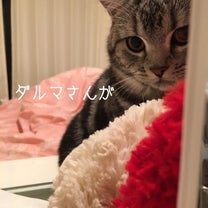 ブログ投稿画像