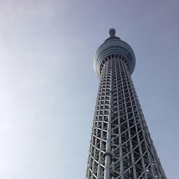 画像 スカイツリー の記事より