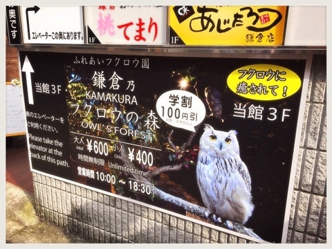 鎌倉乃フクロウの森 着物と料理 美味しい生活