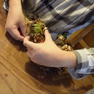 香りを視覚化♪木の実とスパイスで作るナッツベリーアロマの記事より