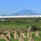 富士山が公式初冠雪だめぇ～♪とか新幹線とかコスモスの画像の記事より