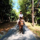 修学旅行で、伊江島の島めぐり、そして乗馬。の記事より