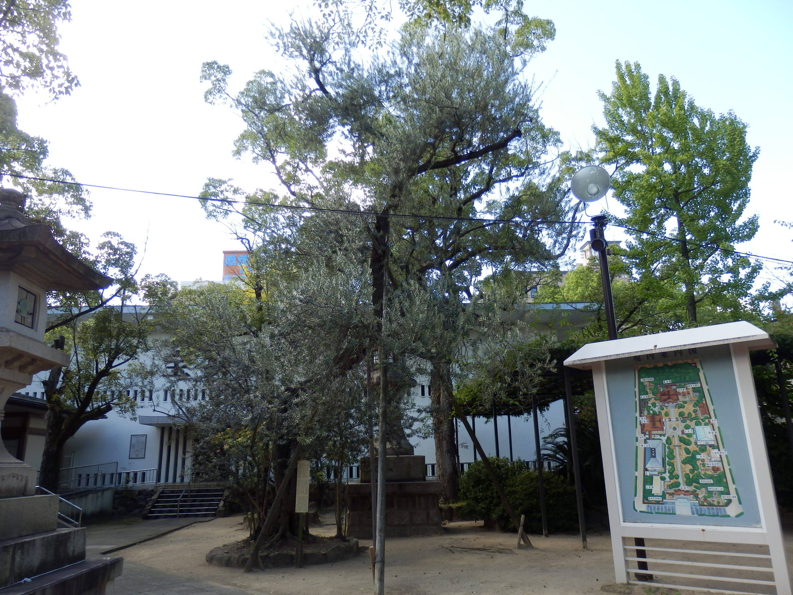 【日本最古】湊川神社を訪れました。