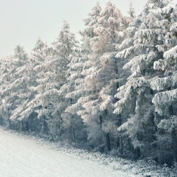 画像 雪、雪、雪…… by 北海道 美瑛町 の記事より 2つ目