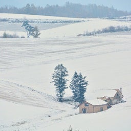 画像 雪、雪、雪…… by 北海道 美瑛町 の記事より 5つ目