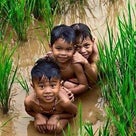 カンボジア人の子供達の写真の記事より