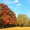 秋ヶ瀬の森バイクロア6に向けて練習しよう♪の画像