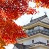 鶴ヶ城の紅葉の画像