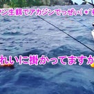 10月19日慶良間船釣り[高級魚アカジン連発！！イソマグロ大HIT！！]徳嶺さま御一行♪の記事より