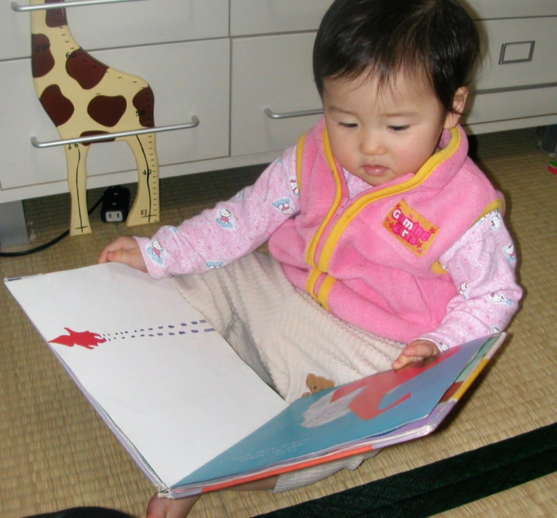 2歳で本が読める 0 5歳は脳を耕す時期 子どもはみんな天才 おうちでできる乳幼児教育