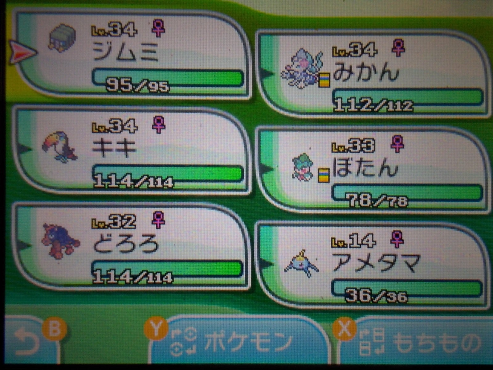 サンムーン3日目 フラポケノート サンムーン3日目 フラポケノート