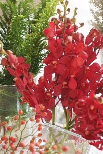 レッスンのひととき ボルドー色モカラと白銀コキア お花で毎日をちょっと楽しく