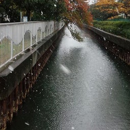 画像 初雪のあと の記事より
