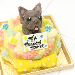画像 人気のキャラクターケーキ、京都府、愛知県、岡山県、大阪府、和歌山県、兵庫県、東京都、福岡県 の記事より 2つ目
