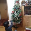 ✧*。Christmas tree ✧*。の画像