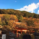 秋の京都お着物にかんざし〜清水寺近くの庭園レストラン&紅葉縁結びの記事より