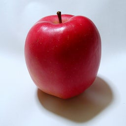 画像 肌美人はみんな食べてる⁉リンゴの美肌効果 の記事より