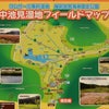 福井県敦賀市の中池見湿地に行きましたの画像