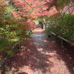 画像 直指庵はとても素敵でした の記事より 1つ目