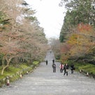 京都♪再びの一人旅②二尊院＆御髪神社への記事より