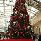 上野駅のクリスマスツリーの記事より