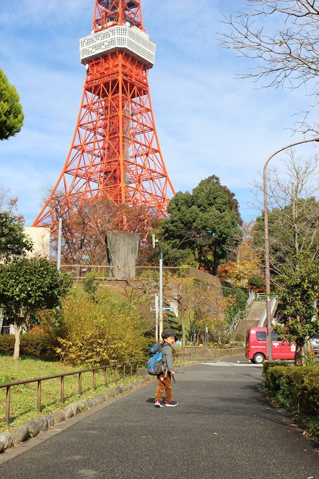 電車でお散歩 東京タワーからのお台場 アロマのナースさんのブログ