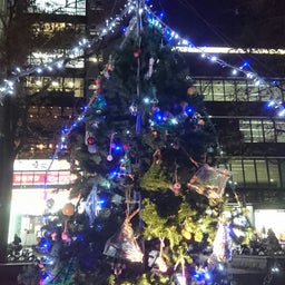 画像 Xmasの足音が近づいている の記事より 4つ目