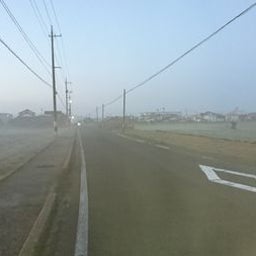 画像 いのちの歌。 の記事より 3つ目