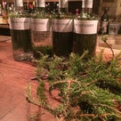 クリスマスカクテル モミの香り Noble fir  (ノーブルファー)の記事より