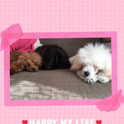 {306DFFA9-169E-4936-A345-AB4519FA914E}