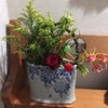 お花のプレゼント〜〜の画像