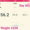 体重と体脂肪率 363日目の画像
