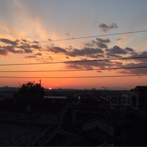 ブログ投稿画像