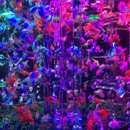 {0E2C1F69-743C-4B9C-ACE1-13890DCC0962:01}
