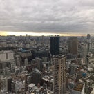 東京タワーにのぼったよ。の記事より
