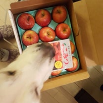 ブログ投稿画像