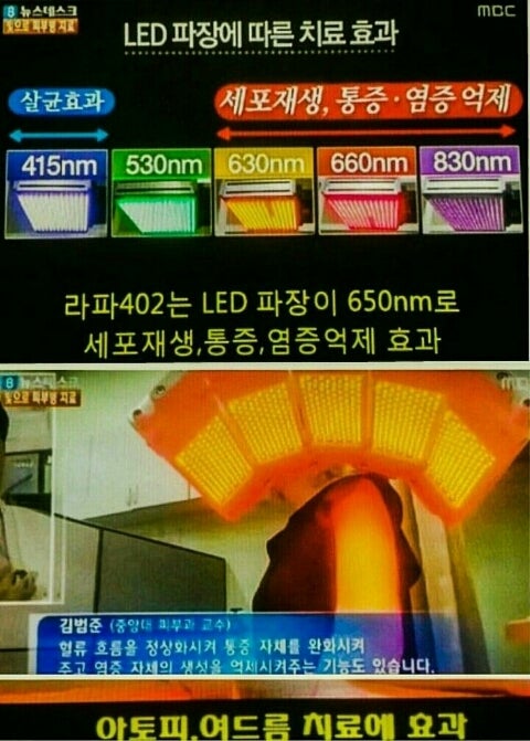 美容/健康 美容機器 低出力レーザー治療器 ラパ402 | 韓国の韓方生活