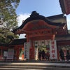 毎年恒例。の画像