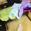 気がつけば〜♬の画像