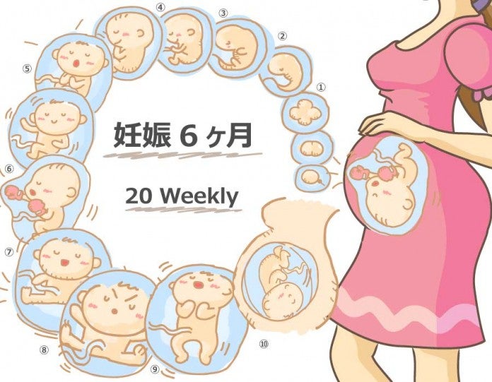 6 張り の 妊娠 お腹 ヶ月