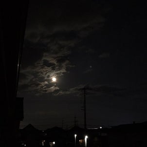 満月の夜。の画像